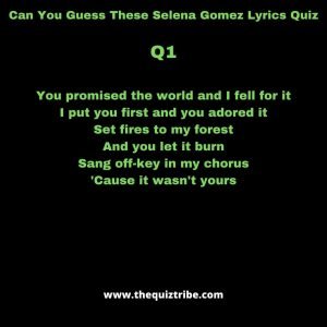 selena gomez lyrics quiz