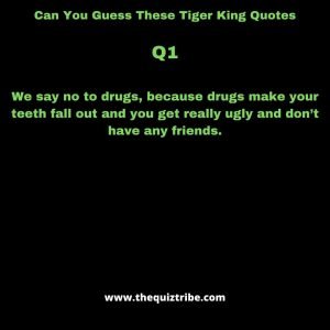 tiger king quiz