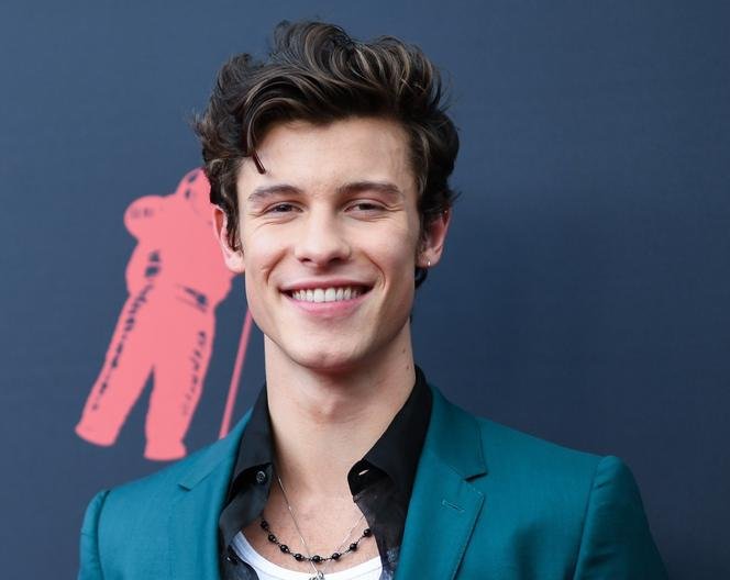 shawn mendes albums quiz