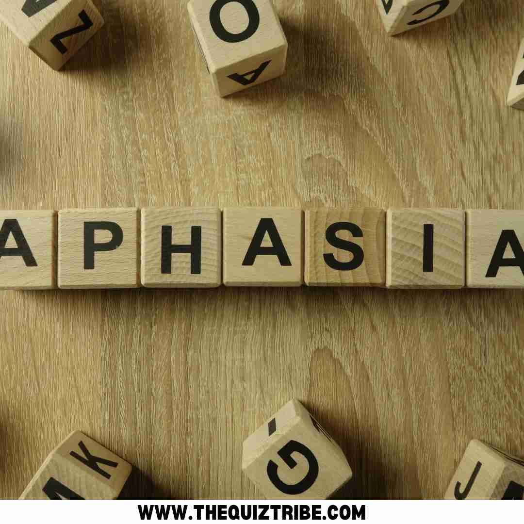 Do I Have Aphasia Quiz